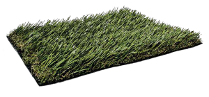 Fresh-Grass-PL919