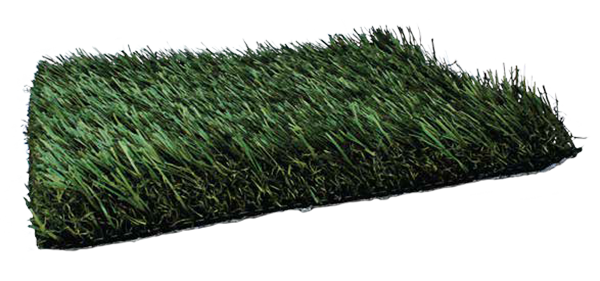 Fresh Grass PL921
